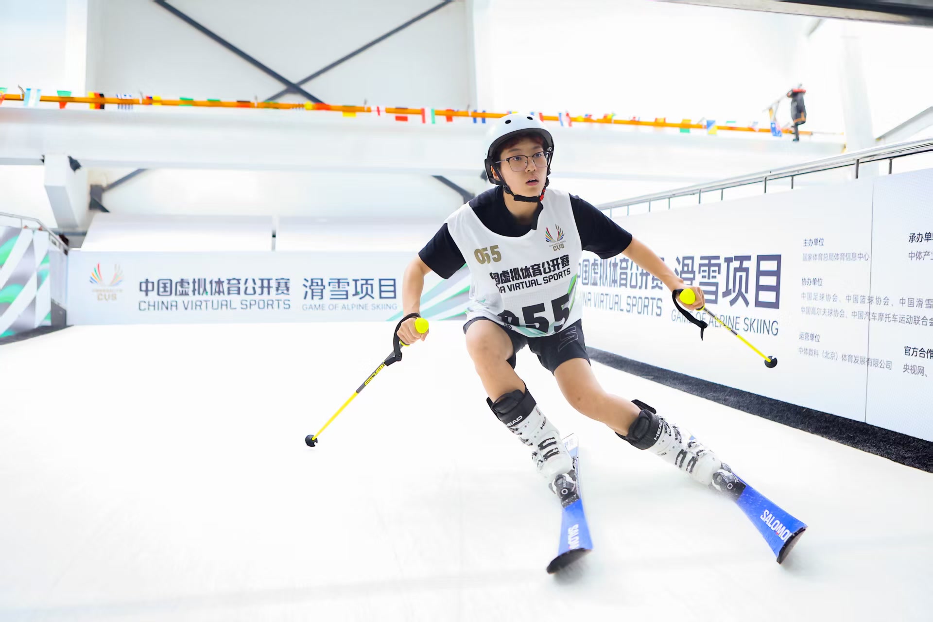 赛滑雪项目, 业模式 赛滑雪项目, 业模式