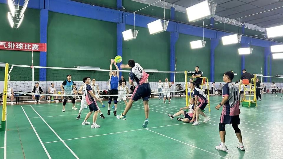 vHhoF, wLG vHhoF, wLG