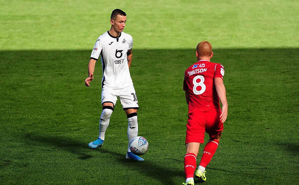 比利时男足 比利时男足