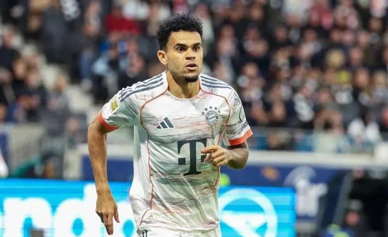 img, image, 迷普遍认为